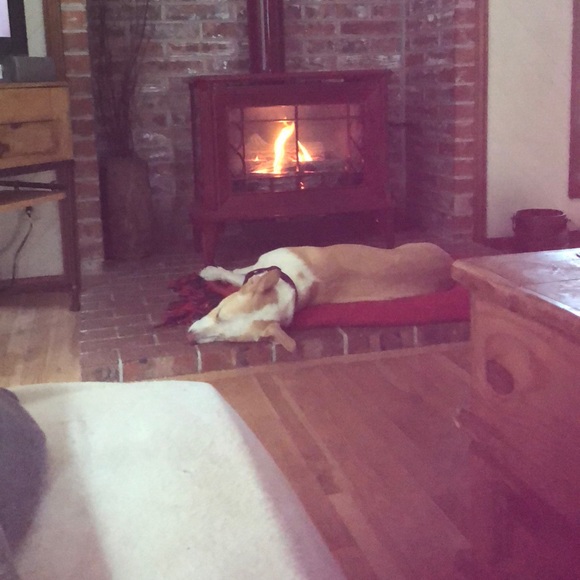 Meet your Posher, Julie - Picture 2 of 2